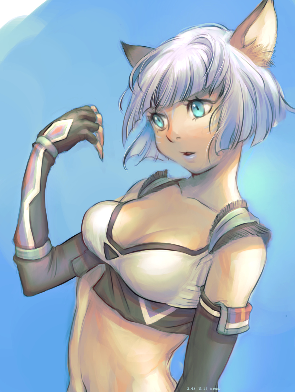 Adventurer (Ff11) Rule 34 Image