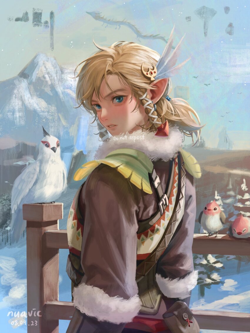 Link (Nintendo) Rule 34 Image