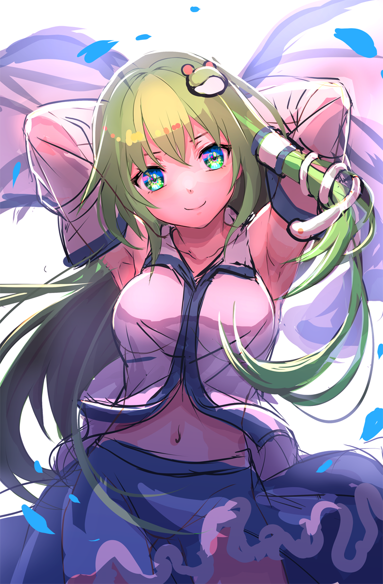 Kochiya Sanae (Touhou) Rule 34 Image