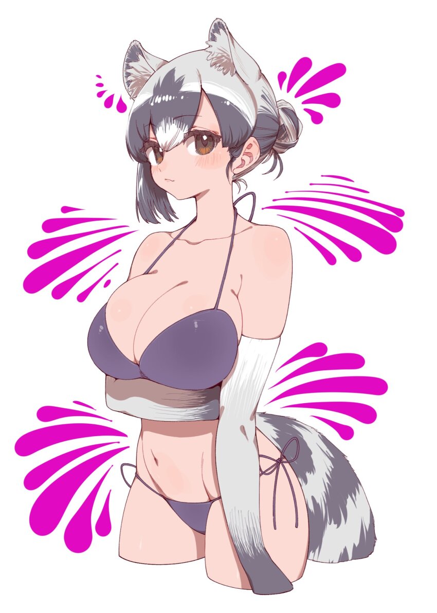 Common Raccoon (Kemono Friends) Rule 34 Image