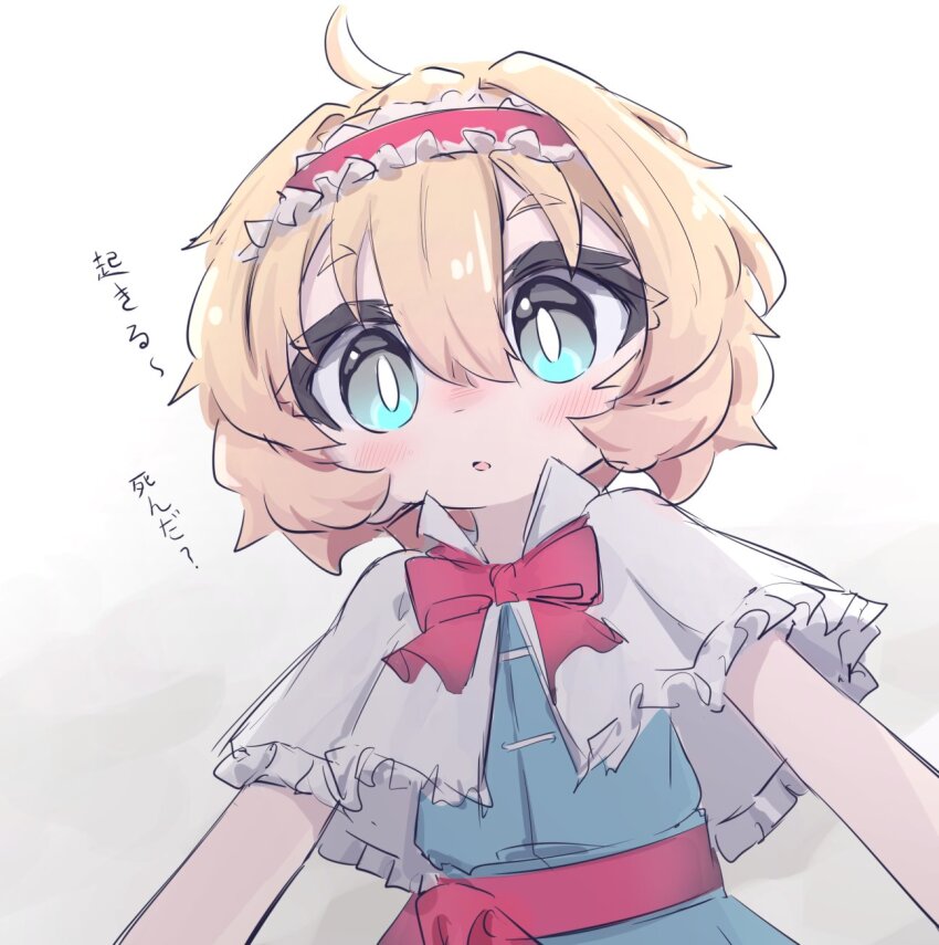 Alice Margatroid (Touhou) Rule 34 Image