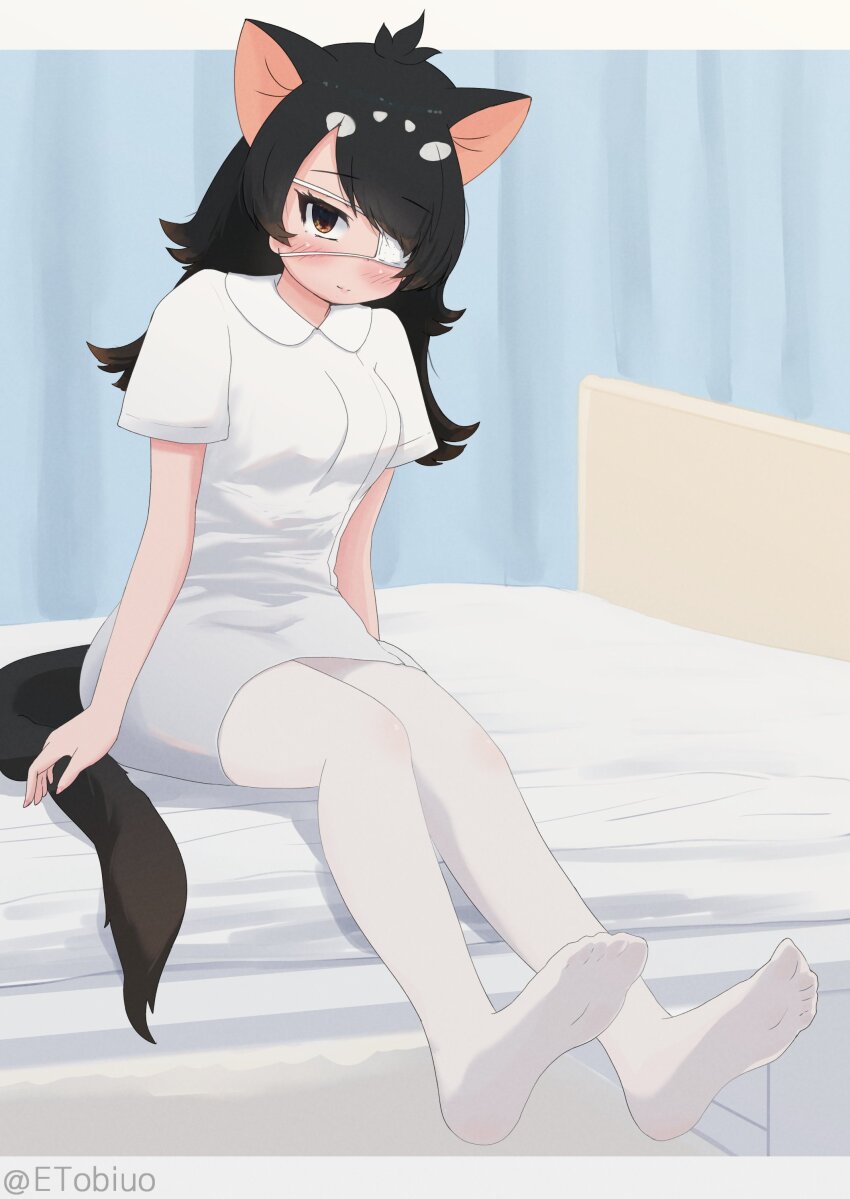 Australian Devil (Kemono Friends) Rule 34 Image