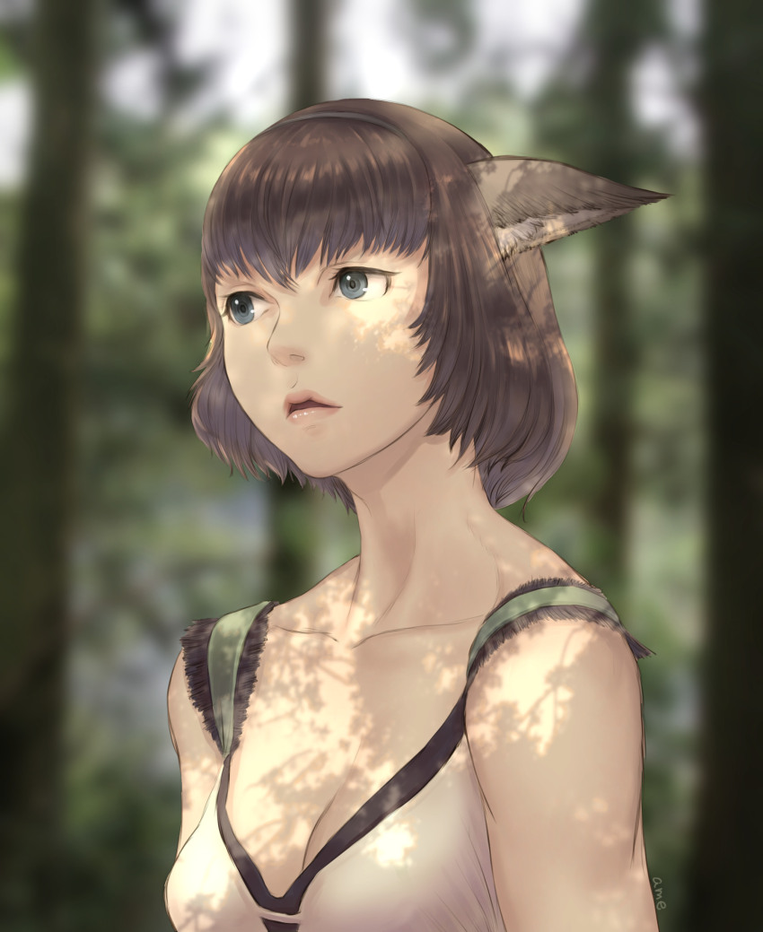 Adventurer (Ff11) Rule 34 Image