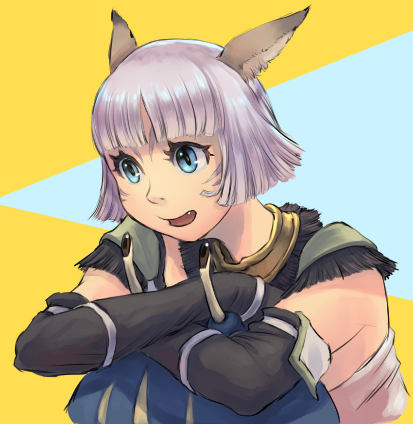 Adventurer (Ff11) Rule 34 Image