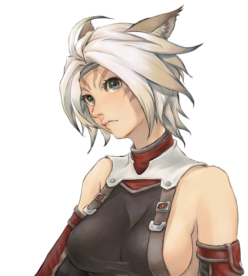 Adventurer (Ff11) Rule 34 Image