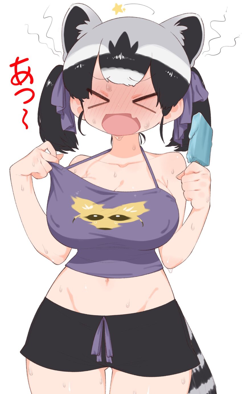 Common Raccoon (Kemono Friends) Rule 34 Image