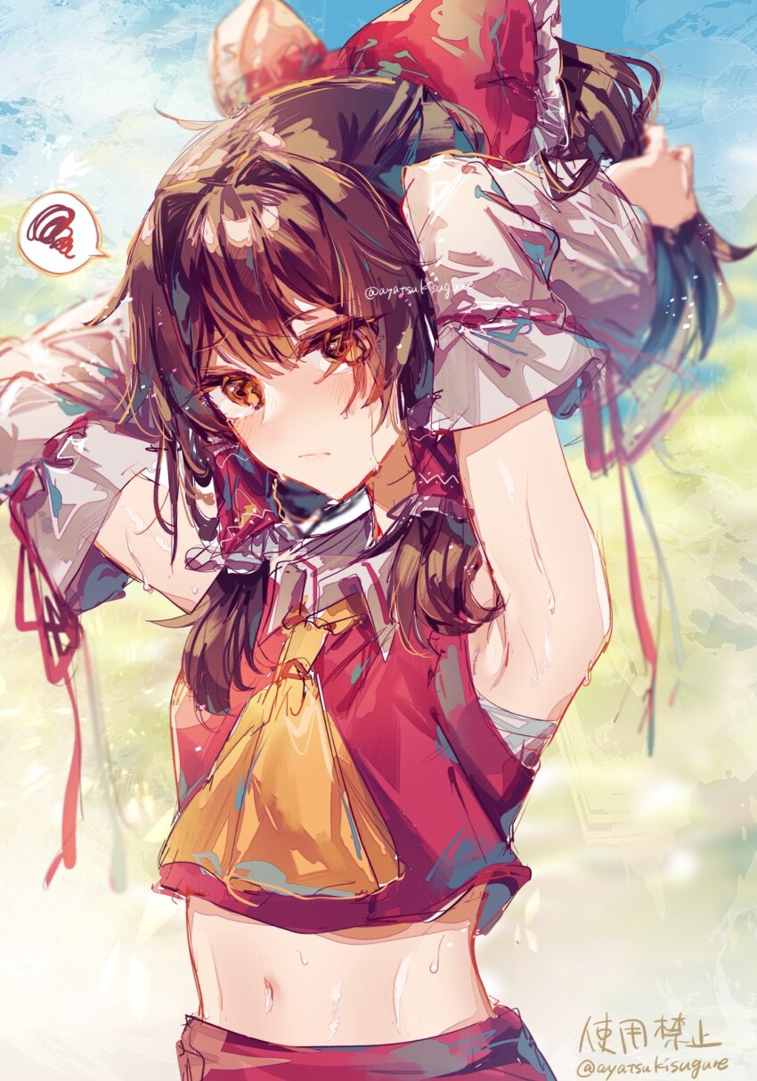 Hakurei Reimu (Touhou) Rule 34 Image