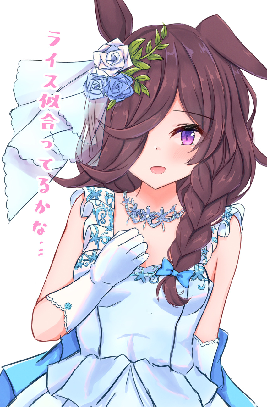 Rice Shower (Umamusume) Rule 34 Image