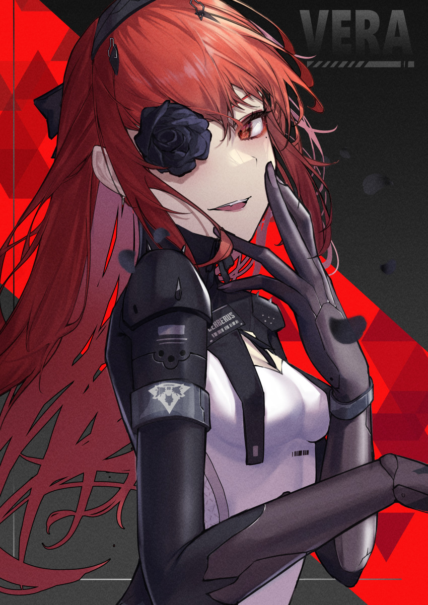 Punishing: Gray Raven Rule 34 Image