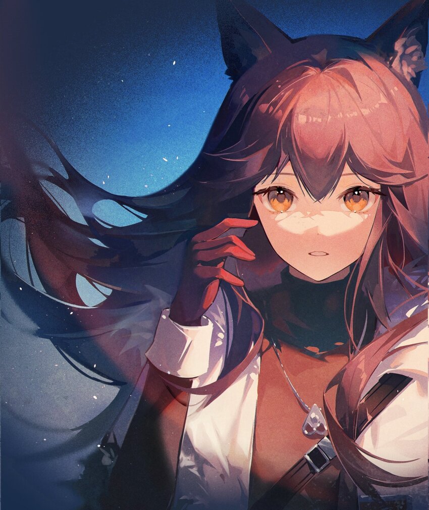 Texas (Arknights) Rule 34 Image