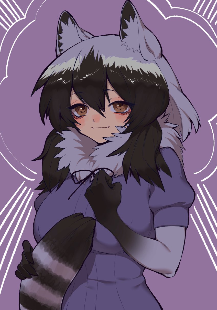 Common Raccoon (Kemono Friends) Rule 34 Image