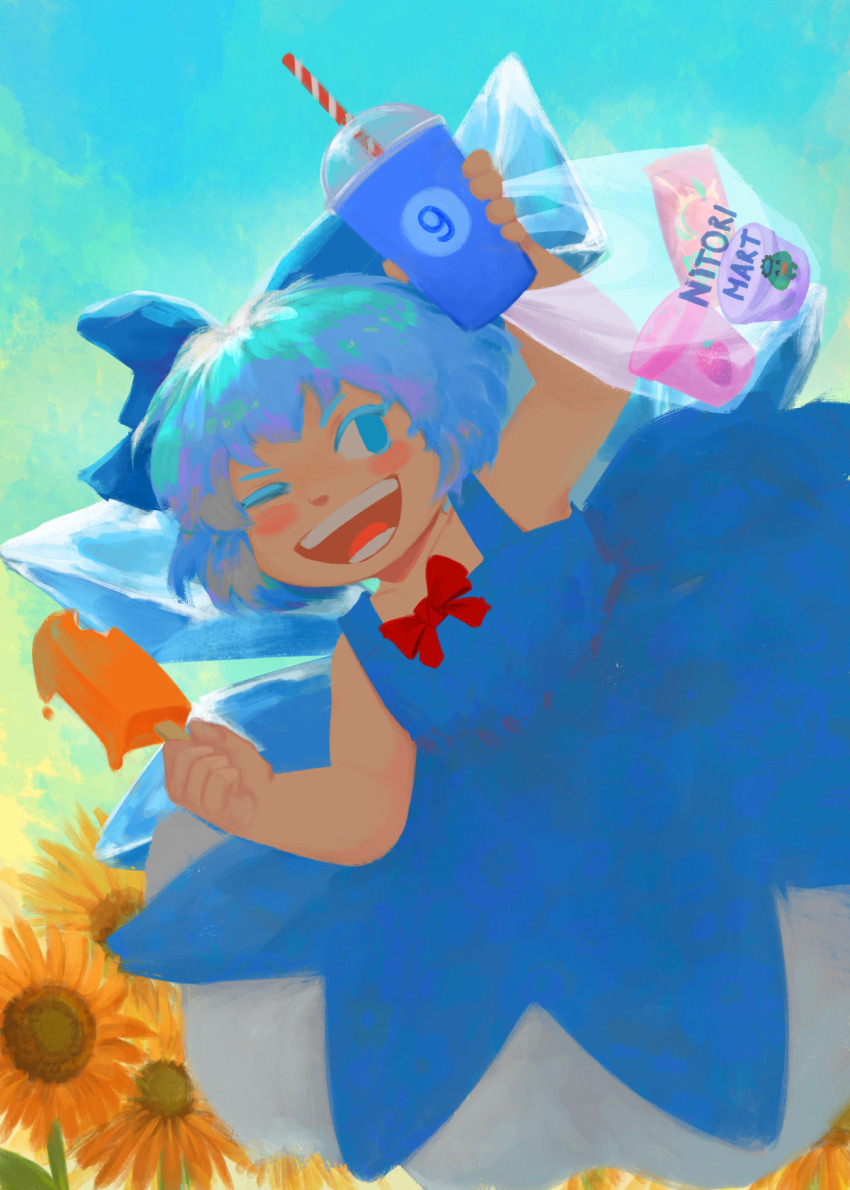 Cirno (Touhou) Rule 34 Image