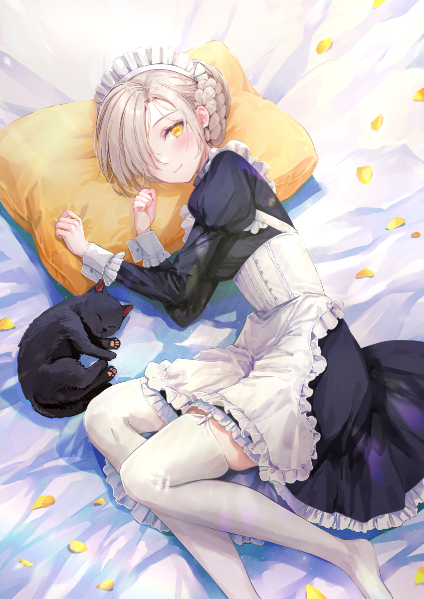 Sheffield (Azur Lane) Rule 34 Image