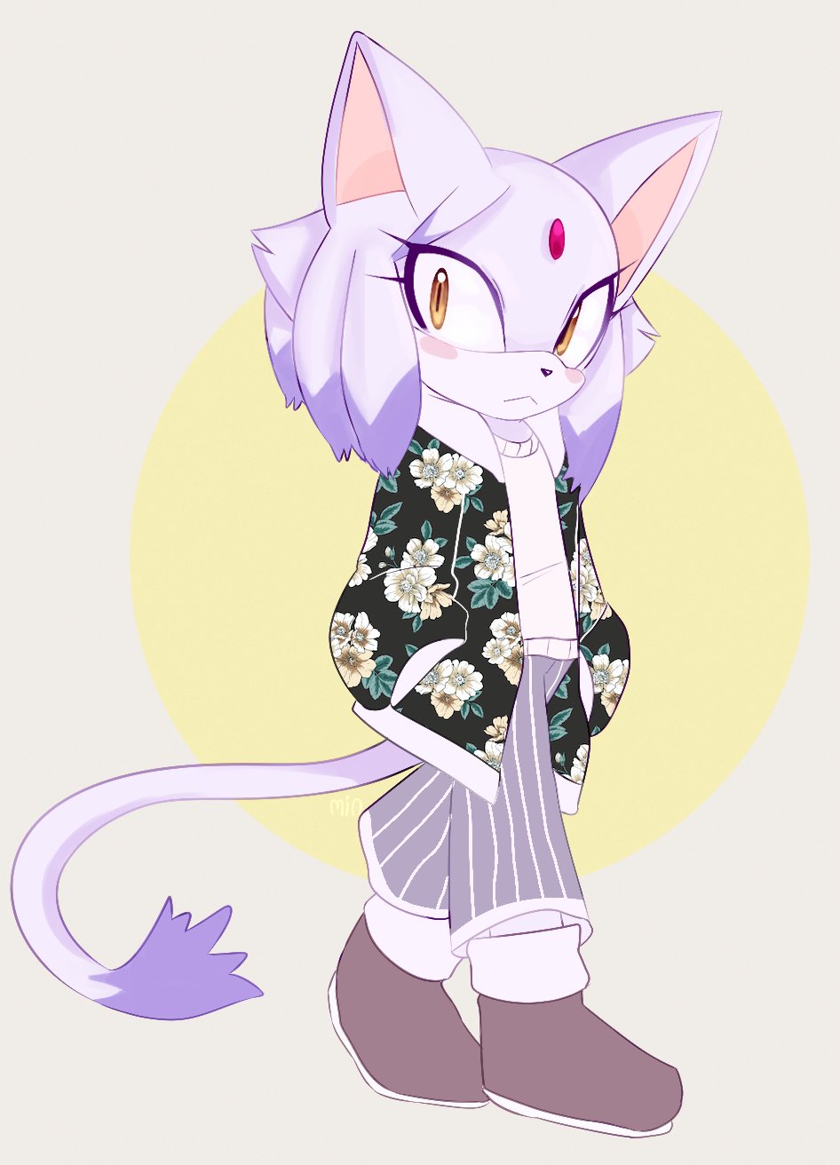 Blaze The Cat (Sonic (Series)) Rule 34 Image