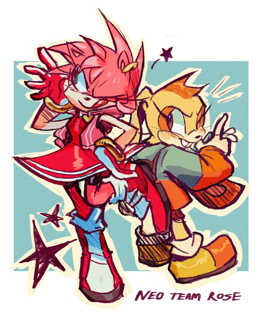 Amy Rose (Sonic (Series)) Rule 34 Image