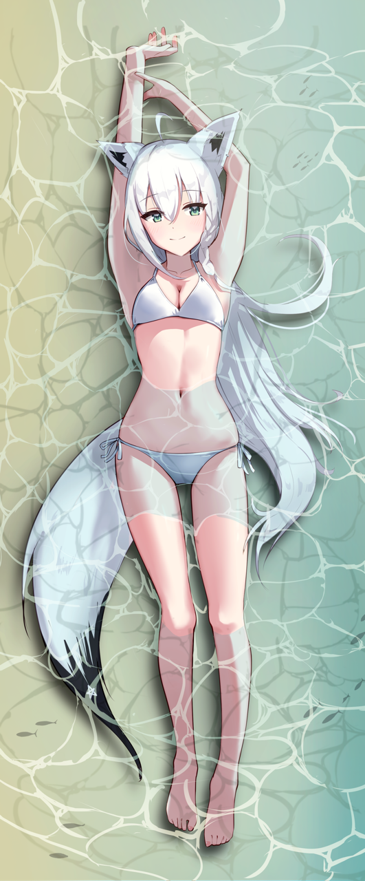 Shirakami Fubuki (Hololive) Rule 34 Image