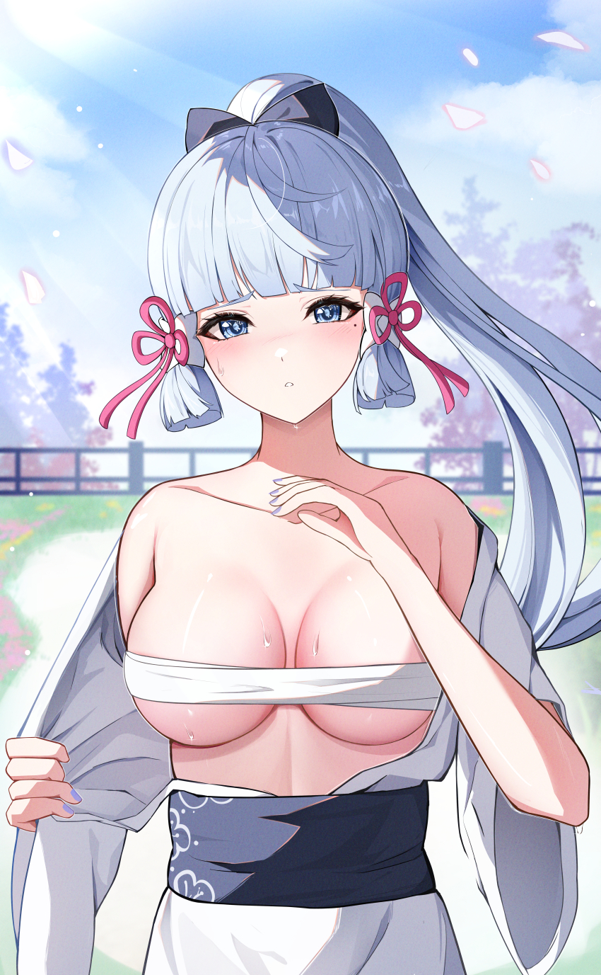 Ayaka (Genshin Impact) Rule 34 Image