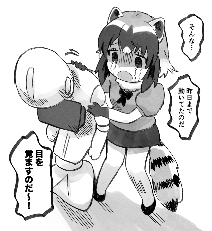 Common Raccoon (Kemono Friends) Rule 34 Image