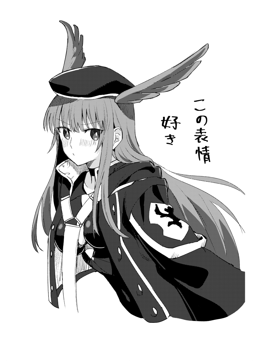 Valkyrie (Fate) Rule 34 Image