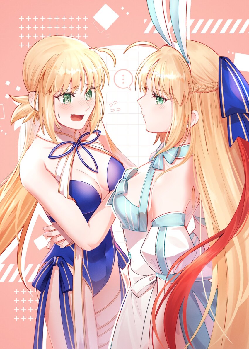 Artoria Caster (Fate) Rule 34 Image