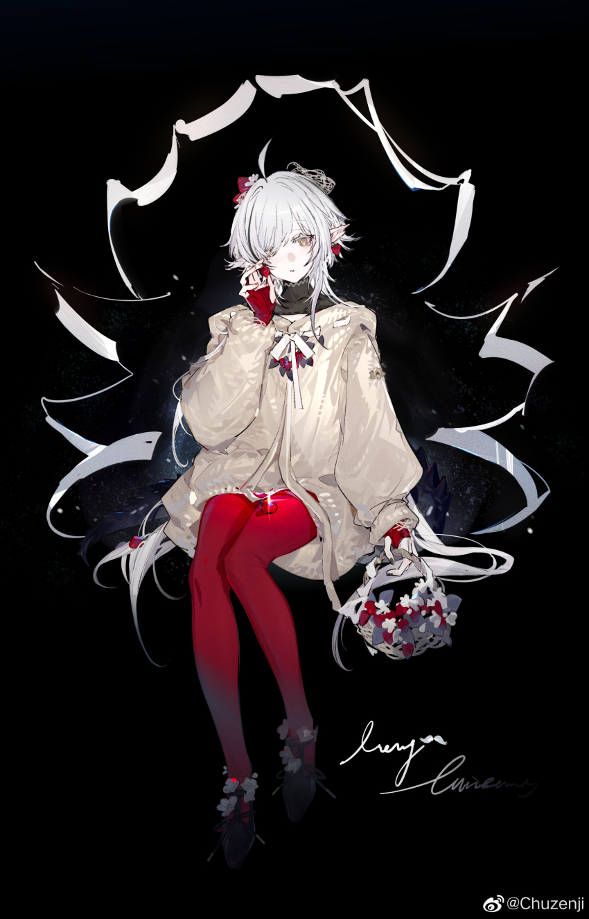 Tomimi (Arknights) Rule 34 Image