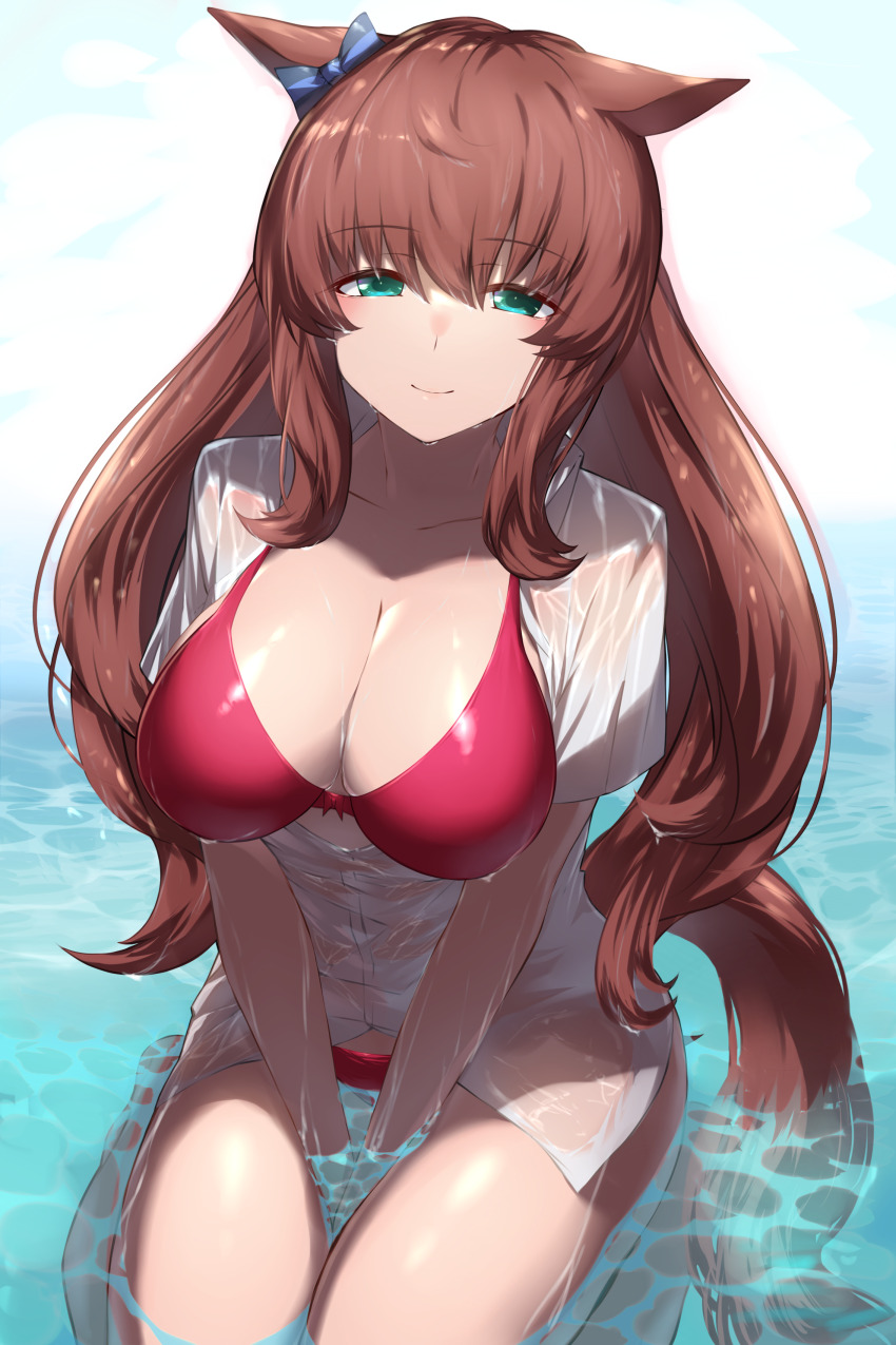 Maruzensky (Umamusume) Rule 34 Image