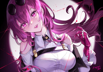 Honkai (Series) Rule 34 Image