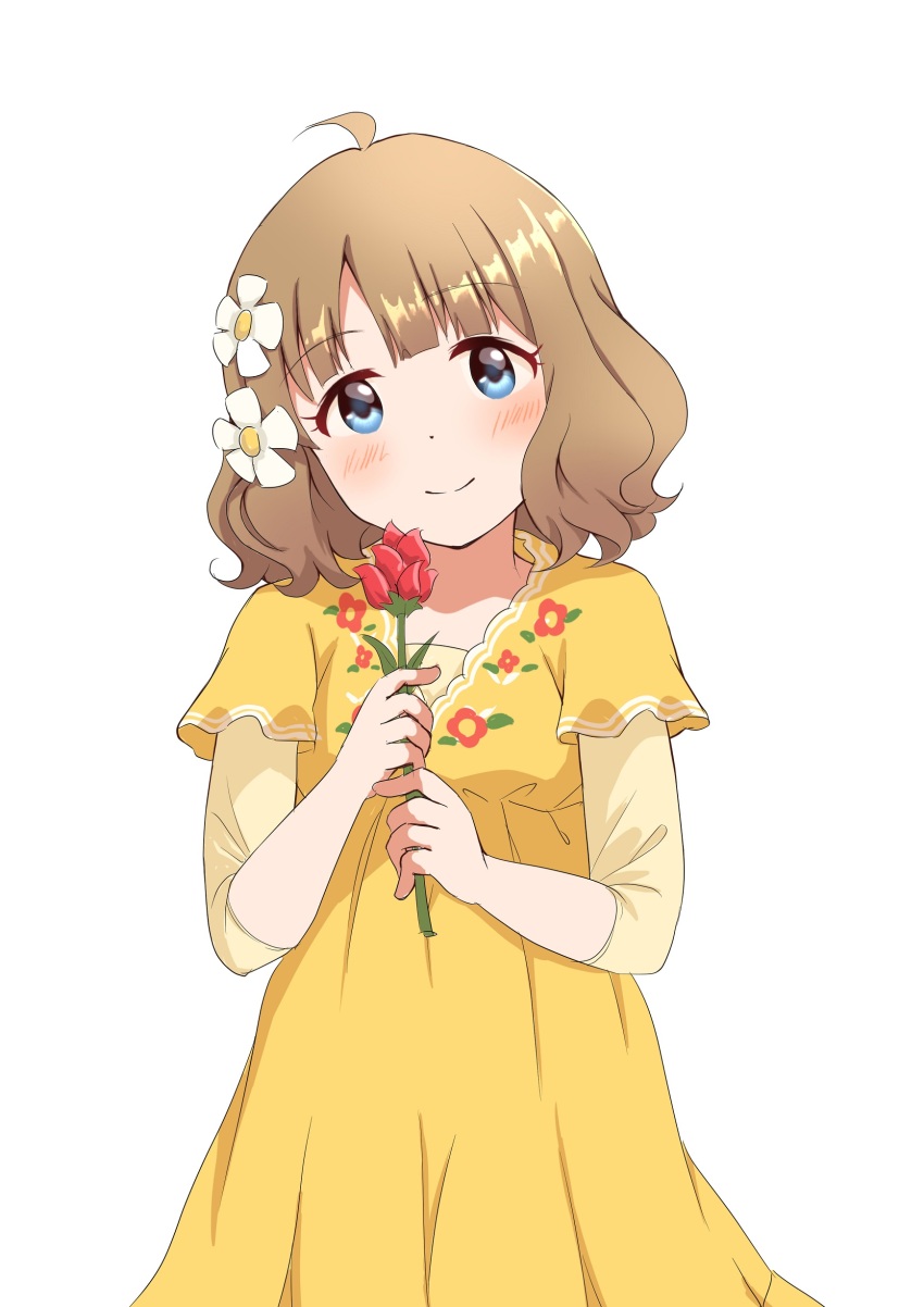 Suou Momoko (Idolmaster) Rule 34 Image
