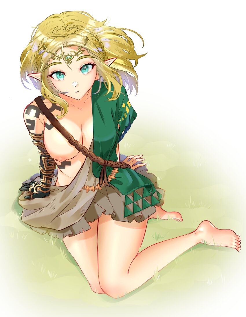 Princess Zelda (Nintendo) Rule 34 Image