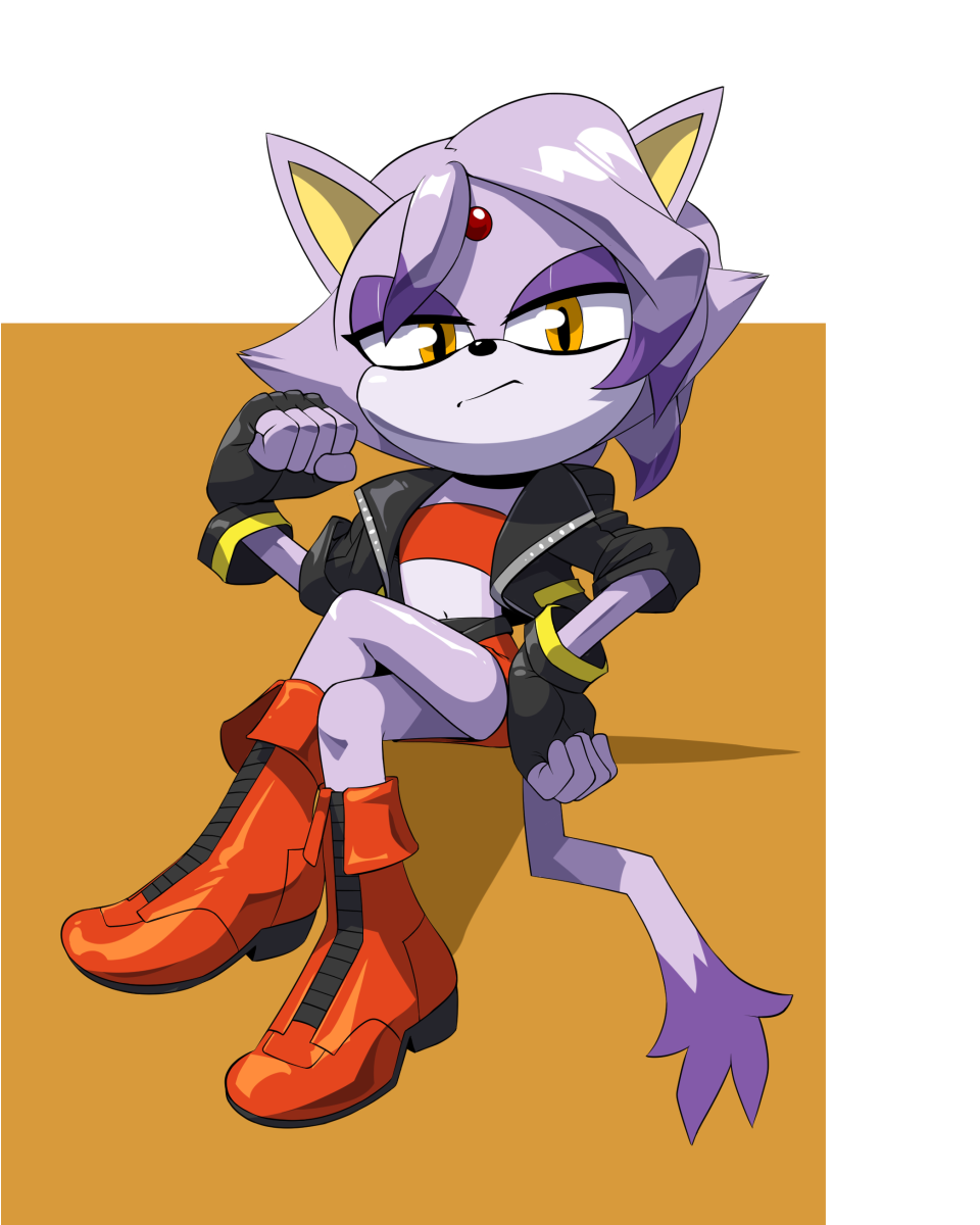 Blaze The Cat (Sonic (Series)) Rule 34 Image