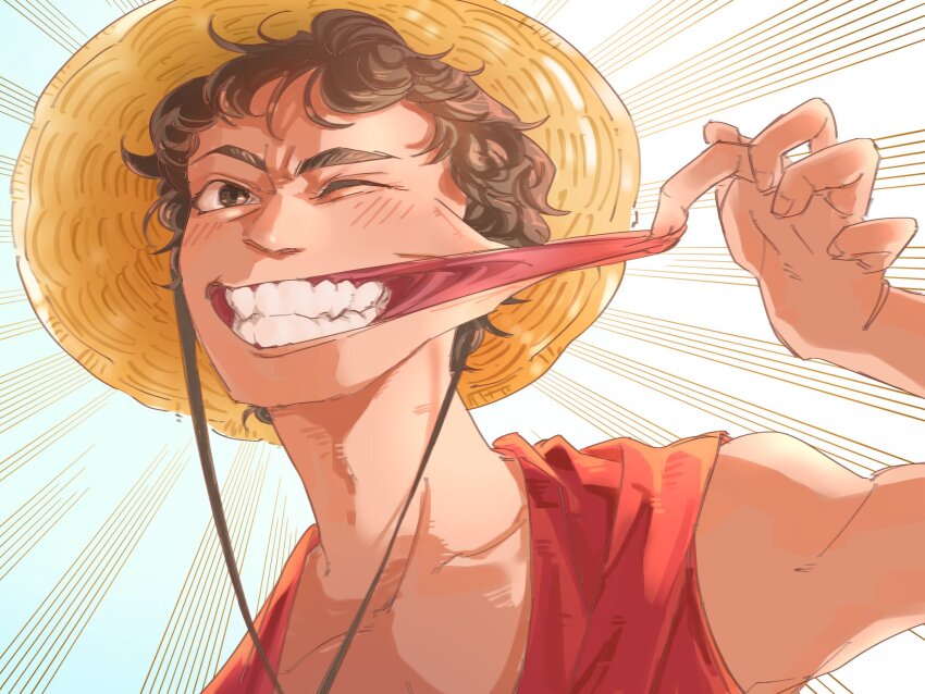 Monkey D. Luffy Rule 34 Image