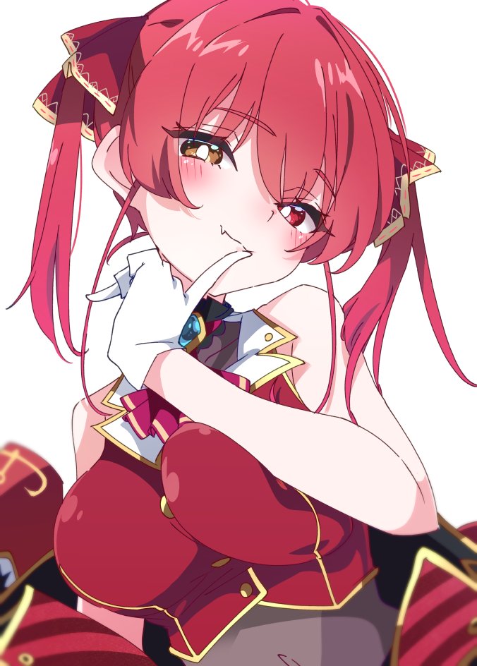 Houshou Marine (Hololive) Rule 34 Image