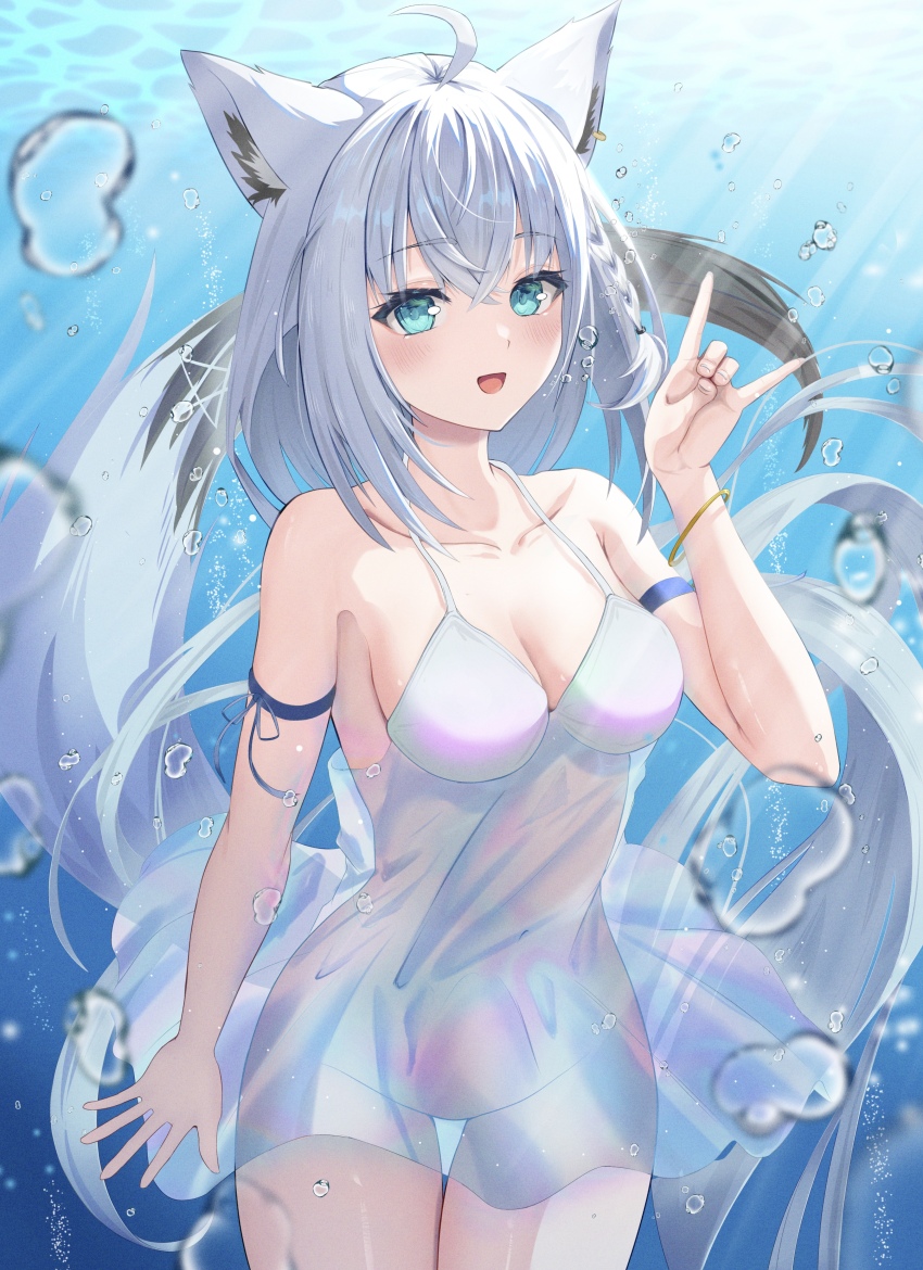 Shirakami Fubuki (Hololive) Rule 34 Image