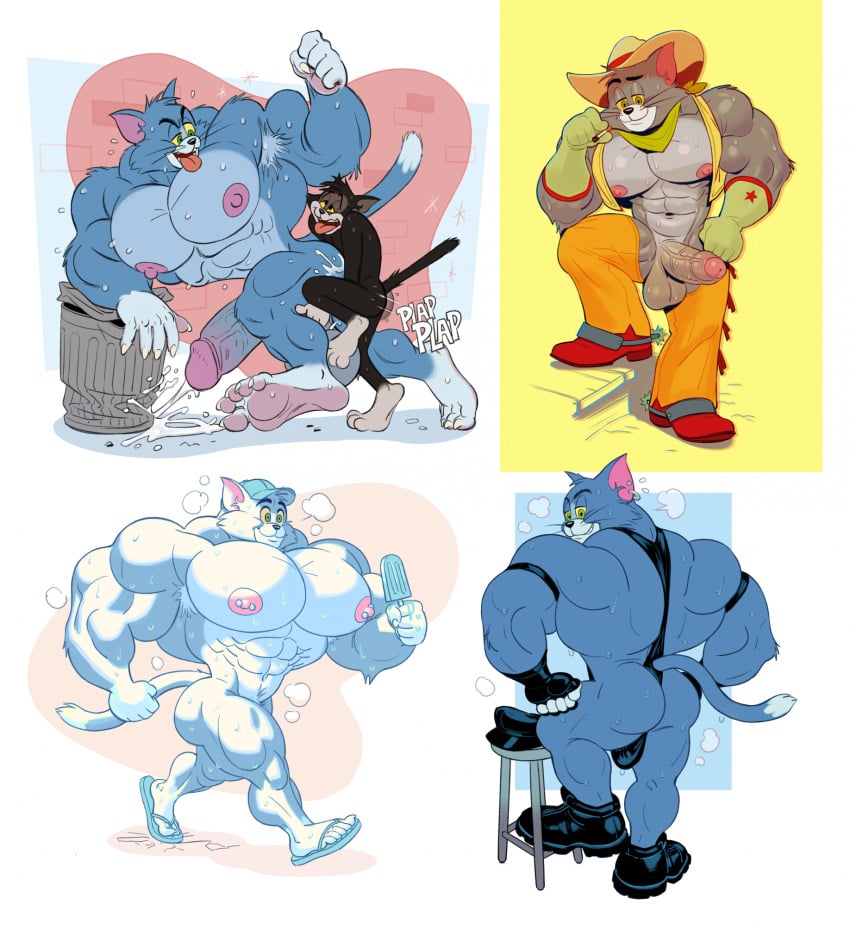 Tom Cat (Butch Cat) Rule 34 Image