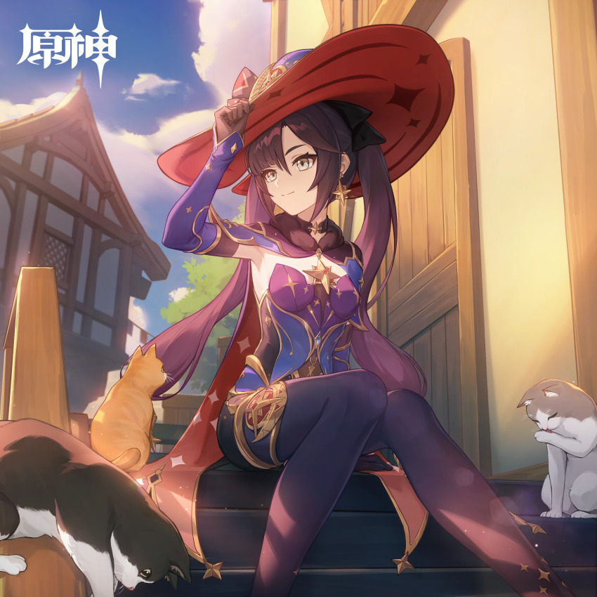 Mona (Genshin Impact) Rule 34 Image