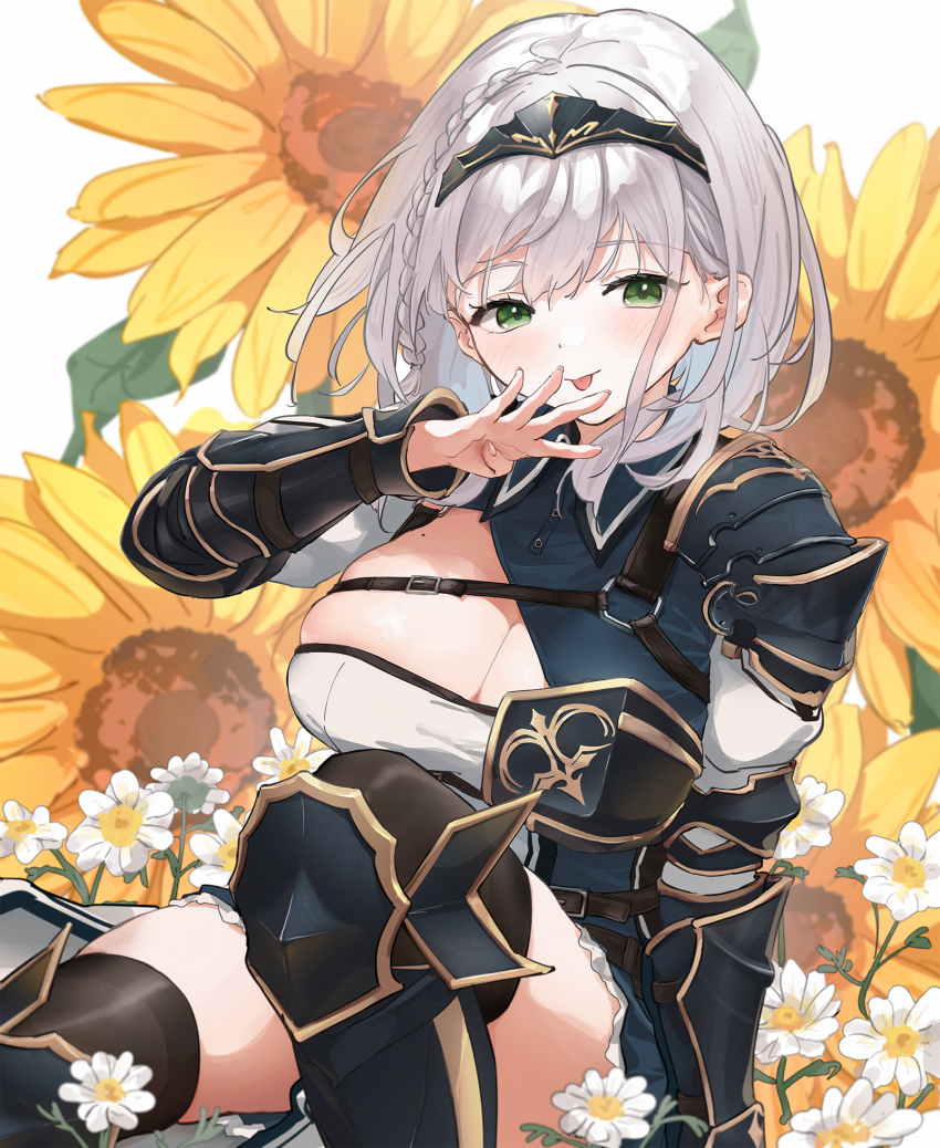 Shirogane Noel (Hololive) Rule 34 Image