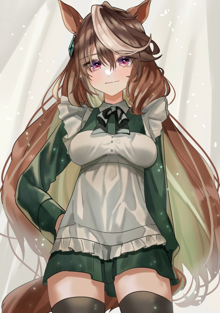 Symboli Rudolf (Umamusume) Rule 34 Image