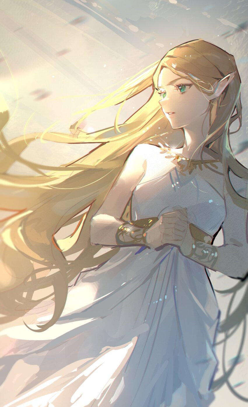 Princess Zelda (Nintendo) Rule 34 Image