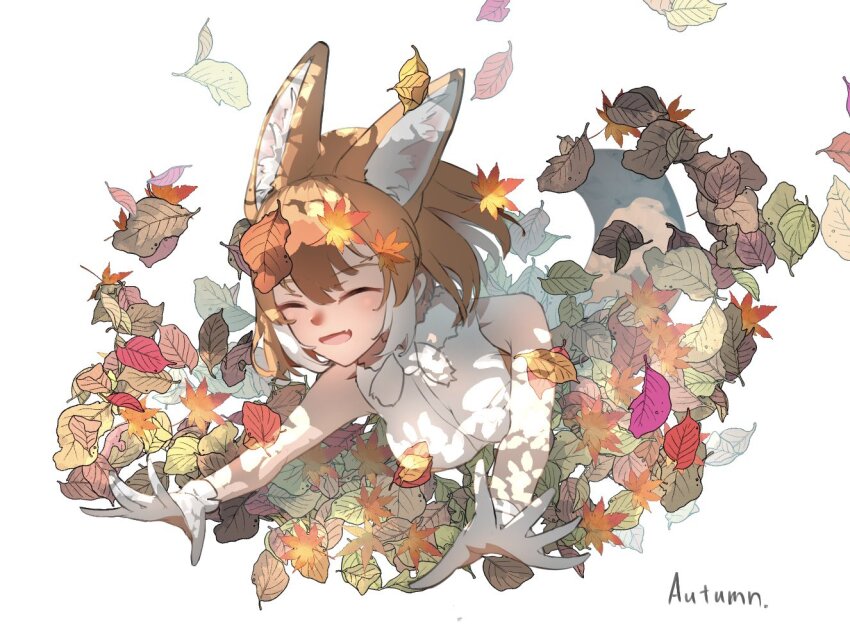 Dhole (Kemono Friends) Rule 34 Image