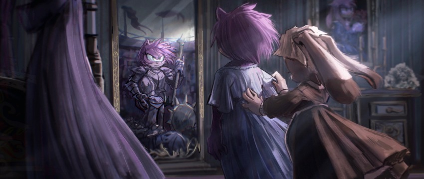 Amy Rose (Sonic (Series)) Rule 34 Image