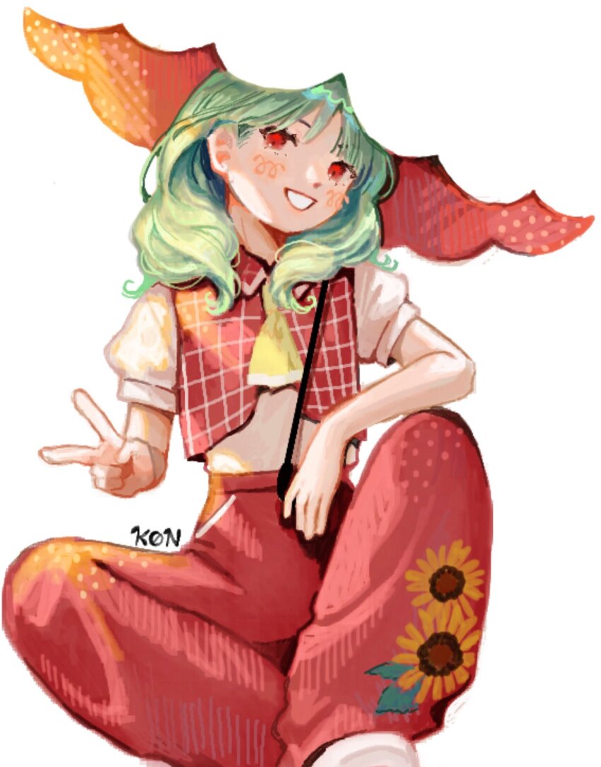Kazami Yuuka (Touhou) Rule 34 Image