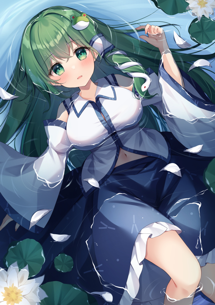 Kochiya Sanae (Touhou) Rule 34 Image