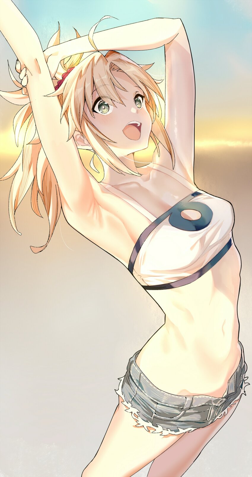 Mordred (Fate) Rule 34 Image