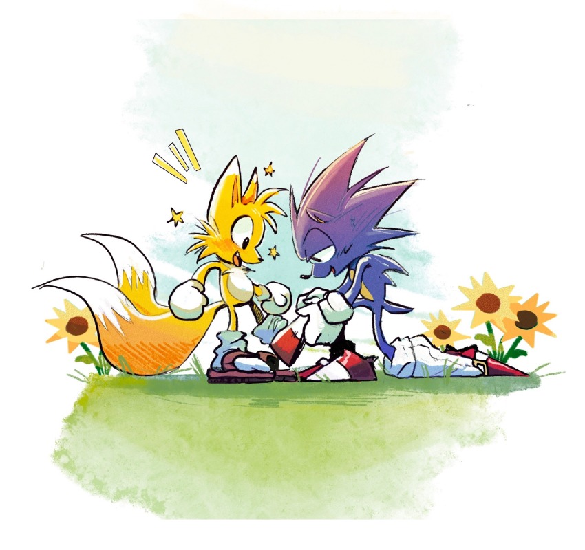 Sonic The Hedgehog (Sonic (Series)) Rule 34 Image