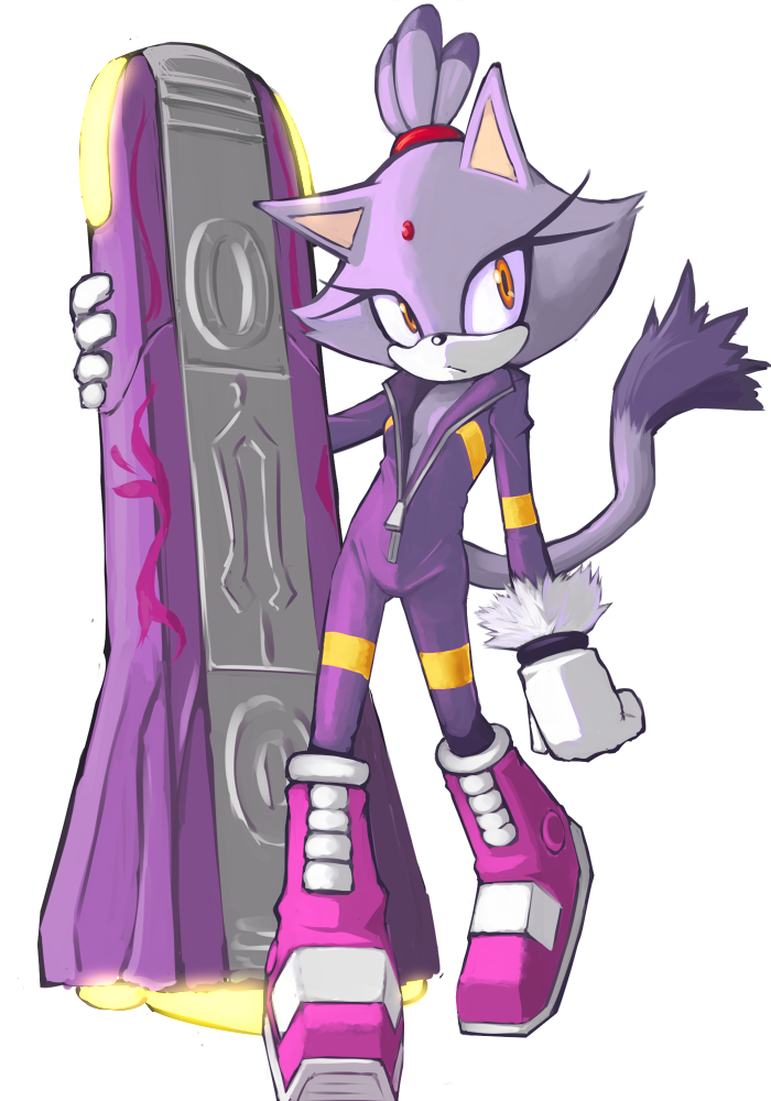 Blaze The Cat (Sonic (Series)) Rule 34 Image