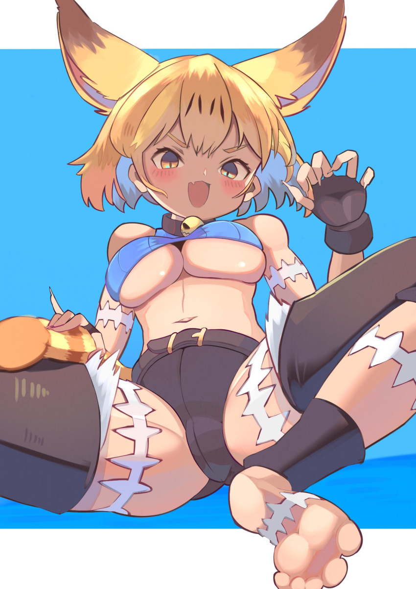 Serval (Kemono Friends) Rule 34 Image