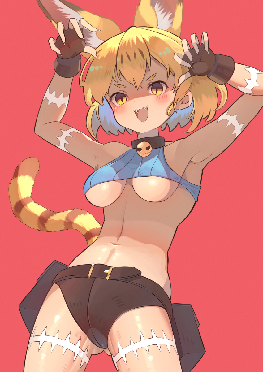 Serval (Kemono Friends) Rule 34 Image