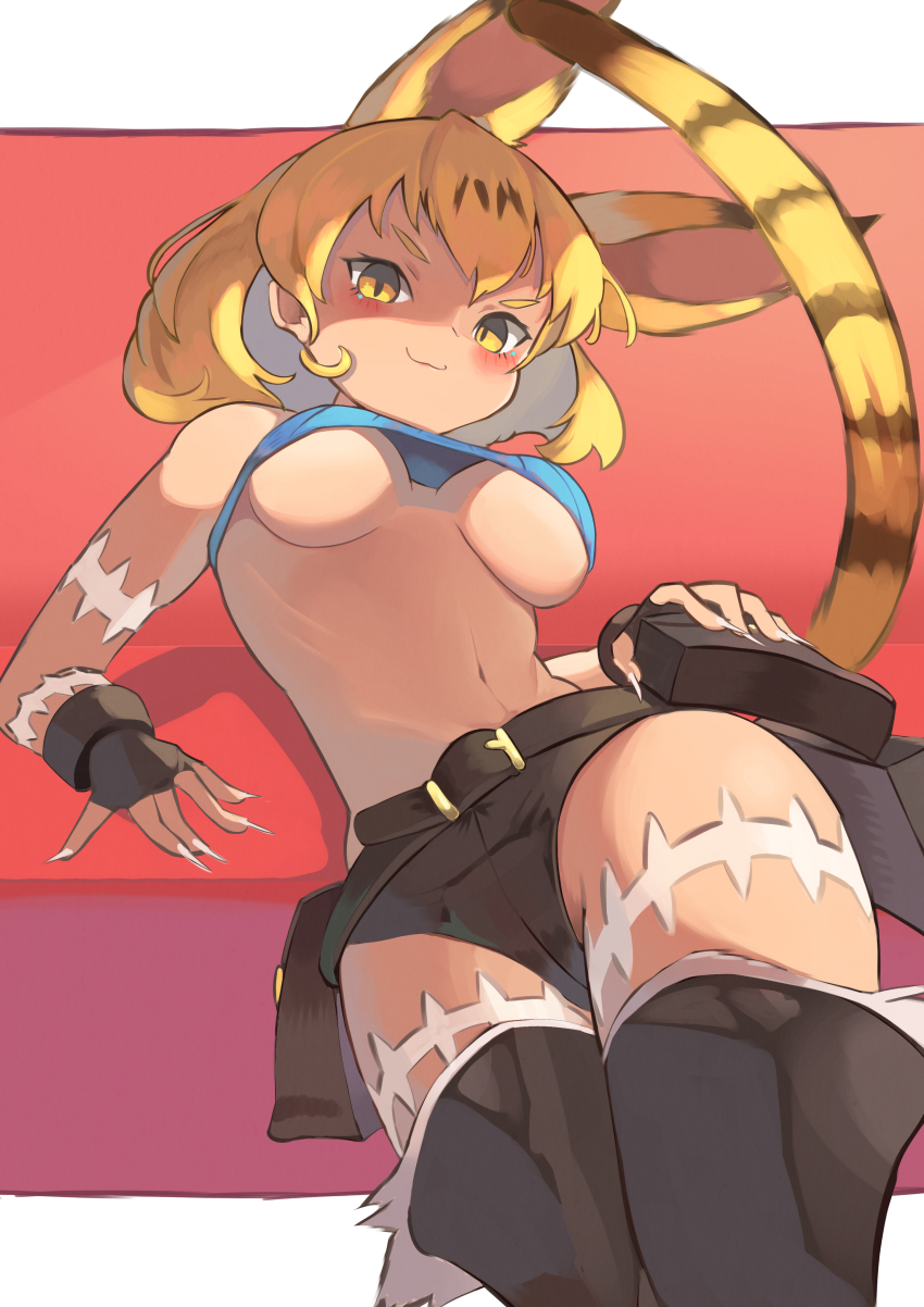 Serval (Kemono Friends) Rule 34 Image