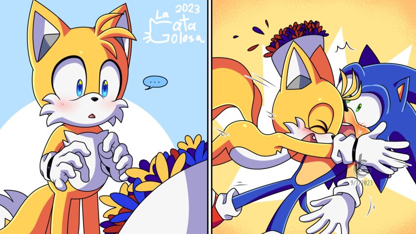 Sonic The Hedgehog (Sonic (Series)) Rule 34 Image
