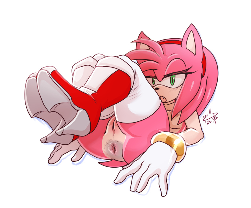 Amy Rose (Sega) Rule 34 Image